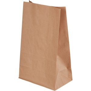 Papirnata vrećica