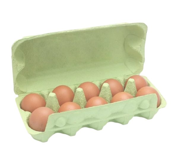Kutija za 10 jaja pulpa kartona, zelen [140 kom/pak]