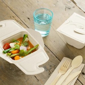 Posuda PULP Sabert 130х130х70mm, 500ml kraft 150 kom