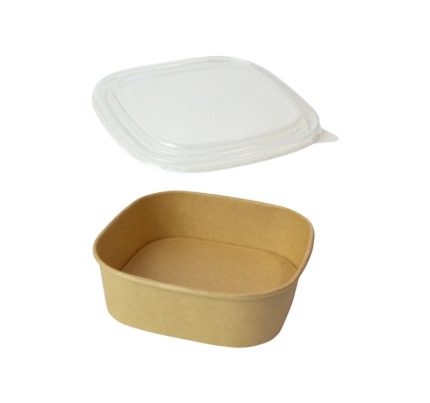 Papirnata posuda za poklopcem 750 ml 170х170х42 mm, kraft, 50 kom (komplet)
