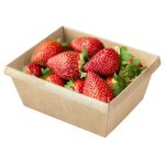 Papirnata posuda OneClick 250 ml, 100x85x45 mm, kraft/kraft, bez poklopca 50 kom