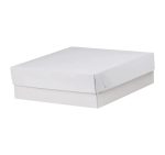 Kutija s poklopcem za desert 25x25x8 cm WHITE (unutarnja metalizirana PET) [14 kom/pak]