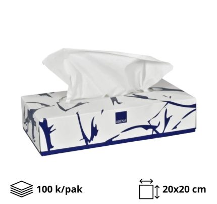 Papirnate maramice u kutiji 2-slojne 2 sl 20×20 cm bijeli 100 kom/pak